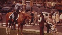 Carspotting: Philadelphia, 1973