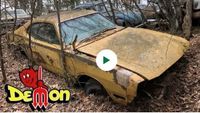Abandoned 1971 Dodge Demon, 1971 Ford Mustang Sports roof, and Two 71 Plymouth Satellites