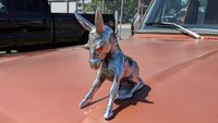 A couple dozen badges, decals, and gadgets from the Carlisle Ford Nationals to spice up an old car