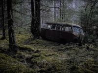 No Forest Too Deep, No Swamp Too Boggy Keeps These Volkswagen Type 2 Enthusiasts From Claiming Their Prized Buses