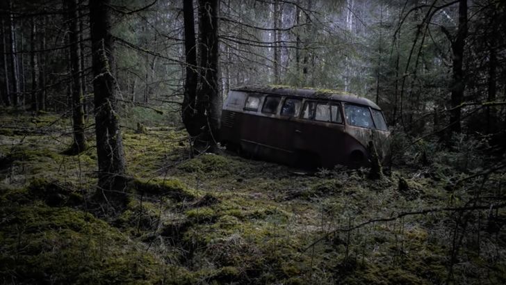 No Forest Too Deep, No Swamp Too Boggy Keeps These Volkswagen Type 2 Enthusiasts From Claiming Their Prized Buses