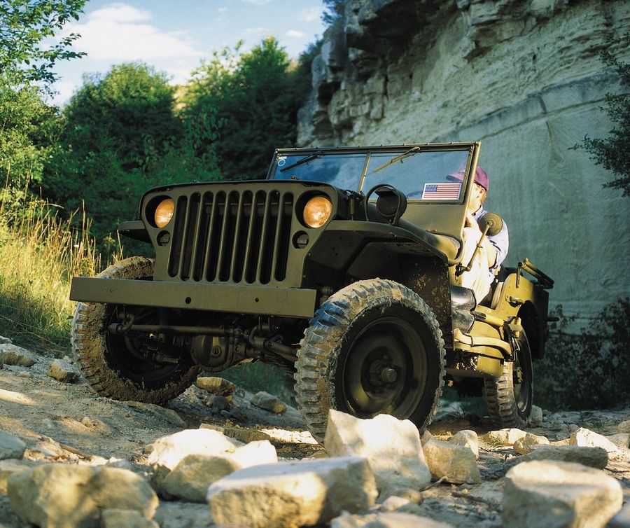 blitz buggy for sale