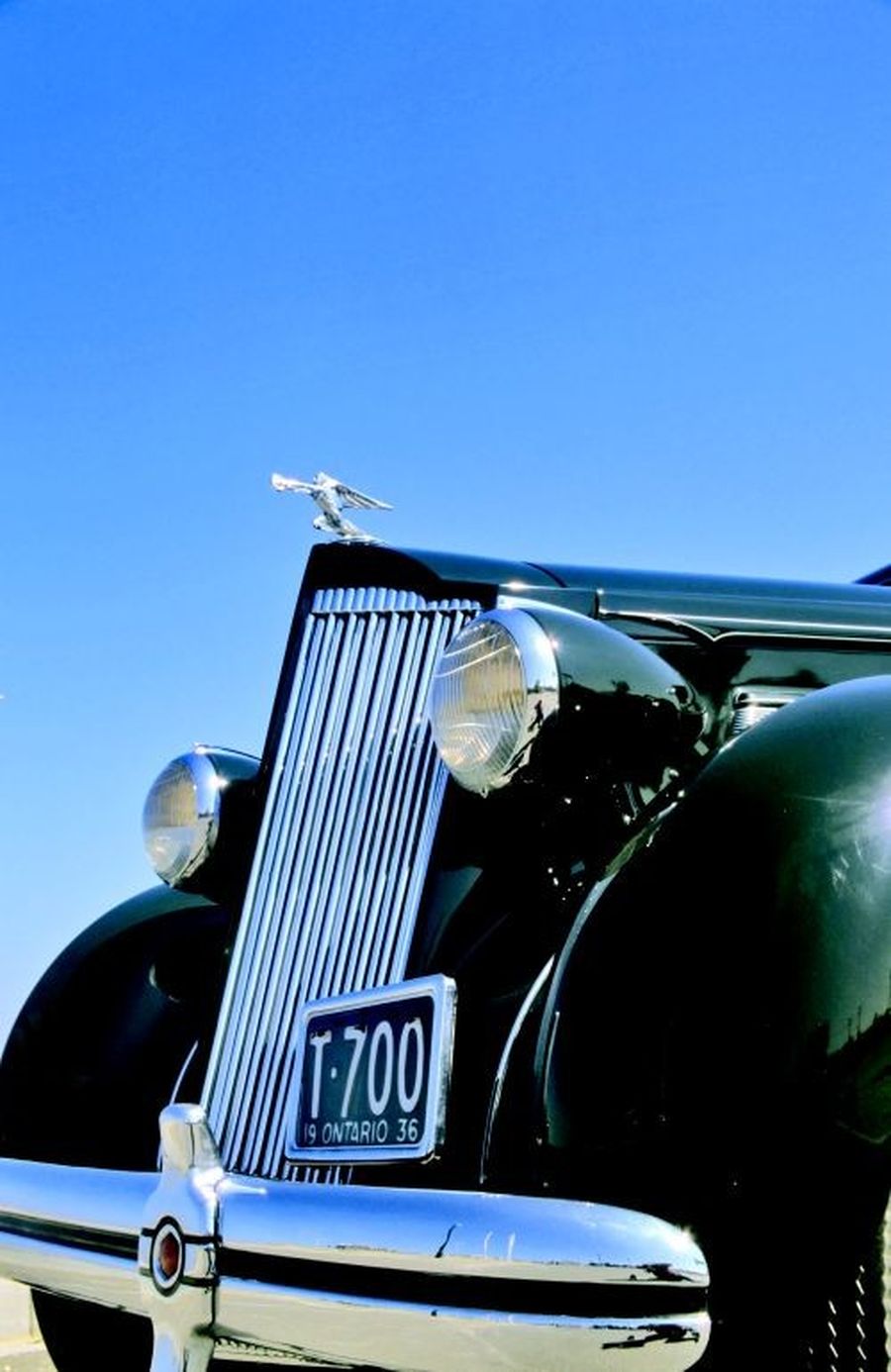 1935-36 Packard Junior front license plate bracket 