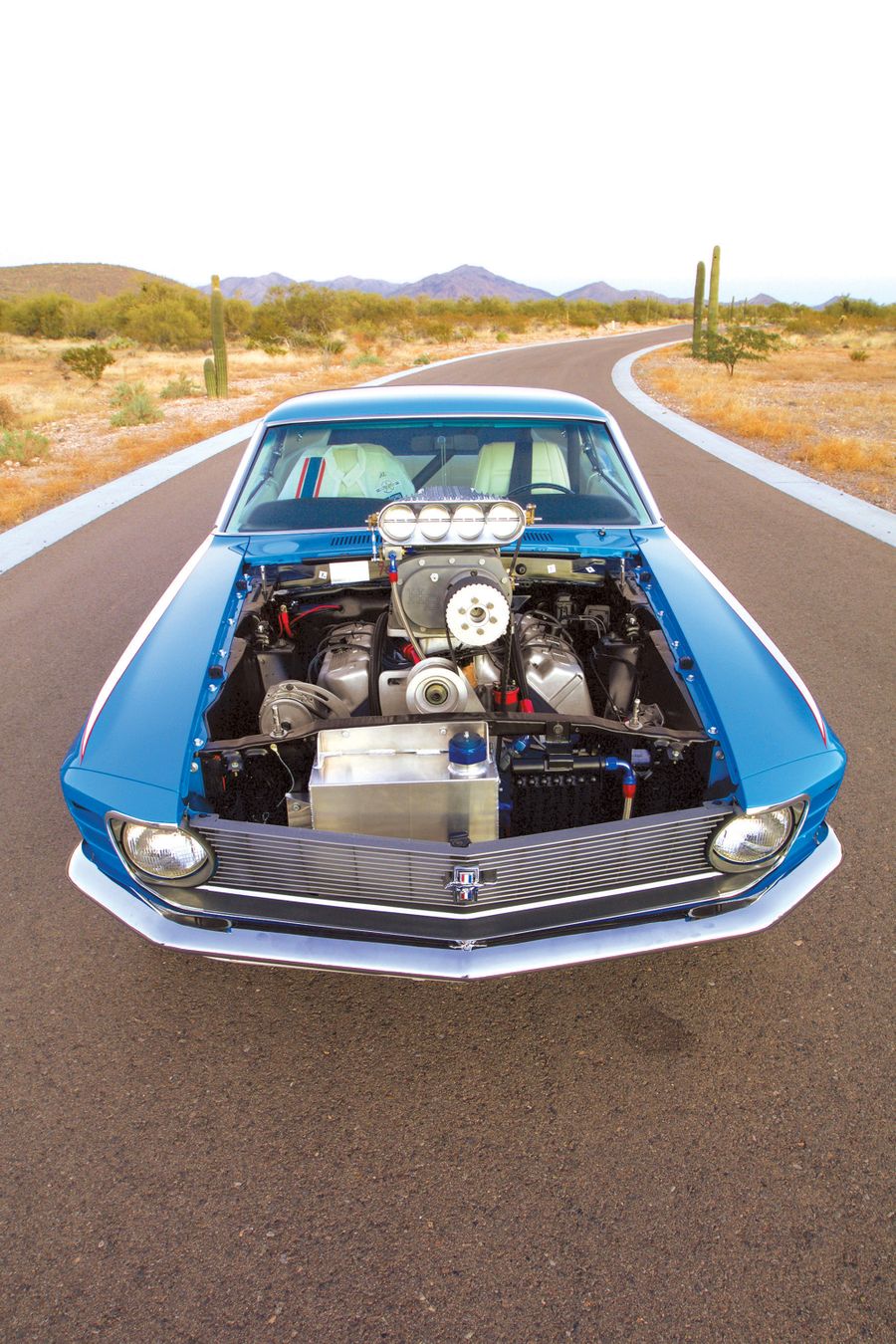 1970 mustangs for sale on 6jwozoeo6n6mim