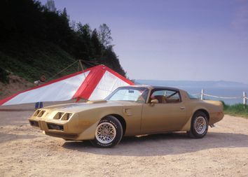 1973-1981 TRANS AM FIREBIRD DELUXE // CUSTOM SEAT BACK PANEL TAN GP GTO